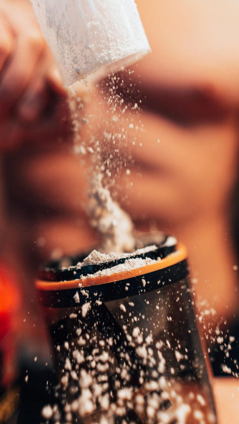 The Different Types of Protein Powder: A No-Nonsense Guide