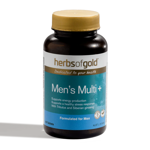 HERBS OF GOLD MENS MULTI 60 TABLETS